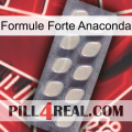 Anaconda Strong Formula 08